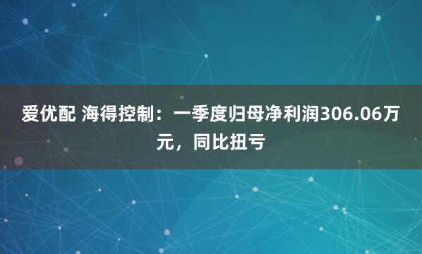 爱优配 海得控制：一季度归母净利润306.06万元，同比扭亏