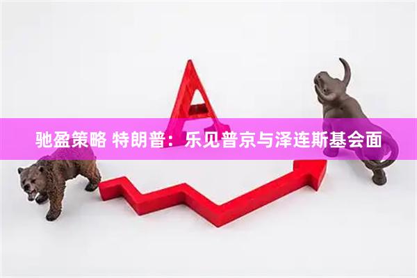 驰盈策略 特朗普：乐见普京与泽连斯基会面