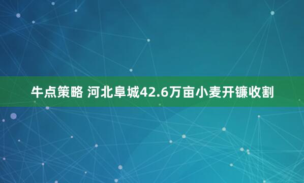 牛点策略 河北阜城42.6万亩小麦开镰收割